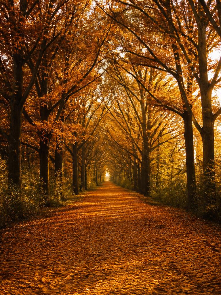 Autumn