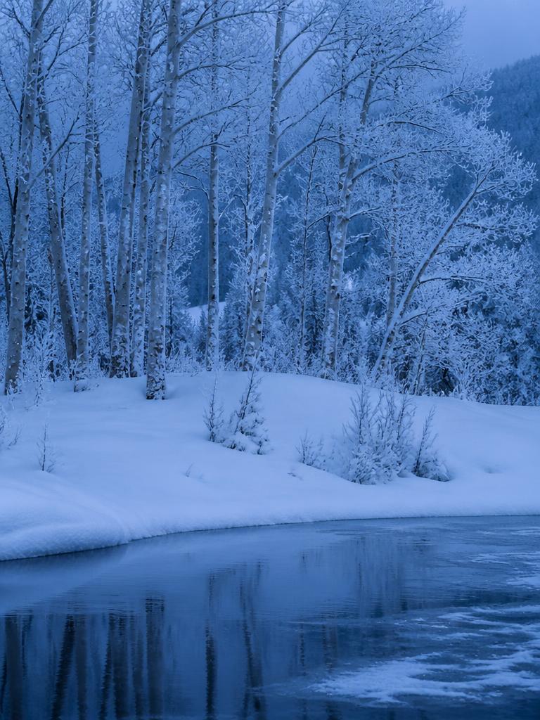 Winter